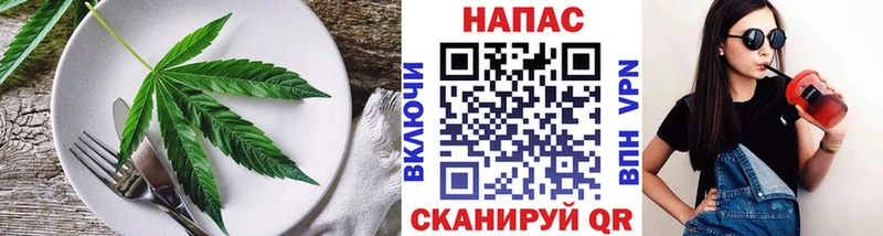 Canna-Cookies марихуана  где купить   Махачкала 