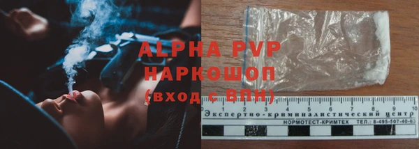 ГАЛЛЮЦИНОГЕННЫЕ ГРИБЫ Бугульма