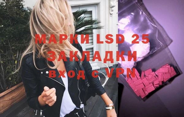 гашик Струнино