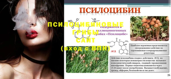 МДПВ Волосово